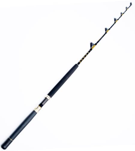 top spinning rods