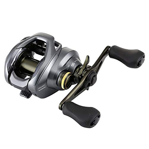 popular baitcasting reels