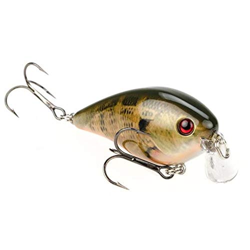 baitcaster jerkbait