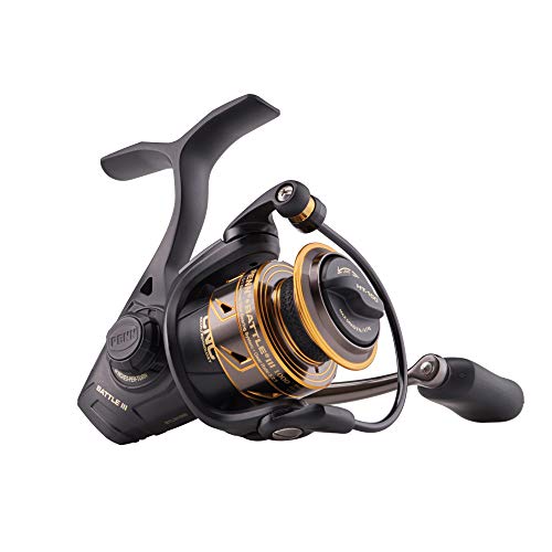 spinning reel reviews