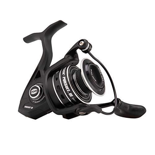 best walleye baitcasting reel