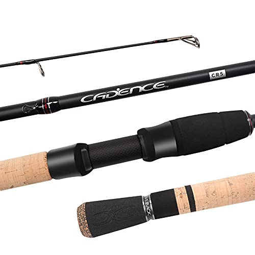 best inexpensive fishing rods