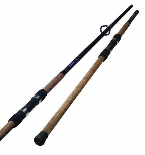 best pole for surf fishing