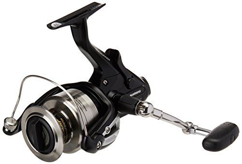 best spinning reel for inshore fishing