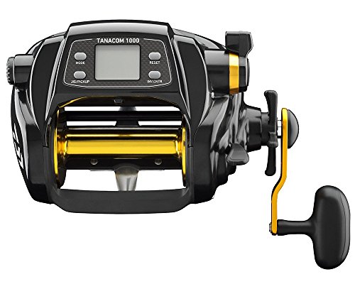 best bottom fishing reels