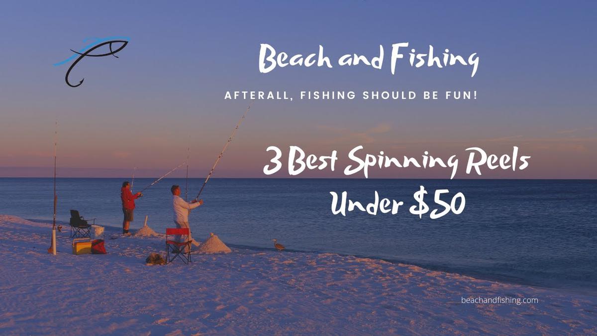 'Video thumbnail for 3 Best Spinning Reels Under $50'