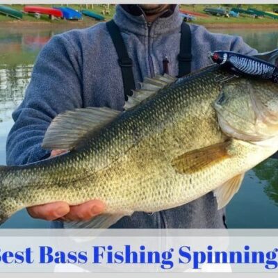 Spinning Reels for Bass
