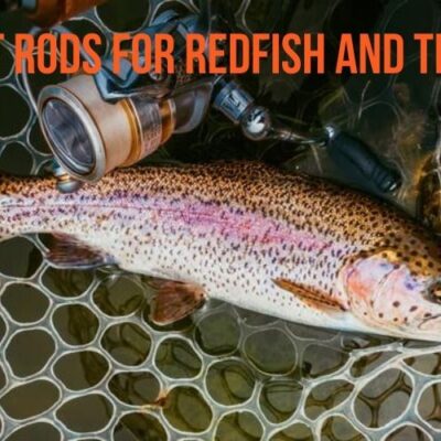 rod for redfish and trout