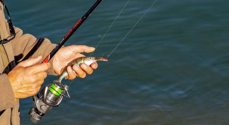 Spinning reel with a panfish caught on mono fishing line