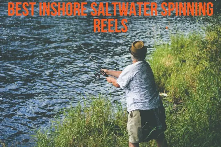 Best Saltwater Ready Inshore Spinning Reels All Fishing Gear