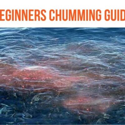 How to Chum - Beginners Chumming Guide