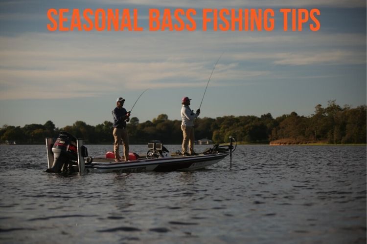 Bass Fishing Tips - Summer, Spring, Winter, Fall