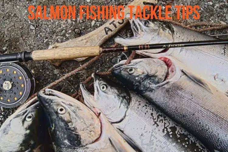 Salmon Fishing Tackle Tips and Techniques