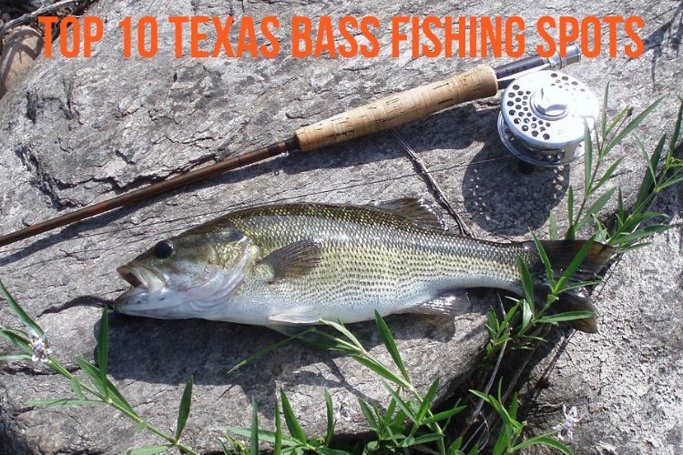 TX Bass Fishing Tips