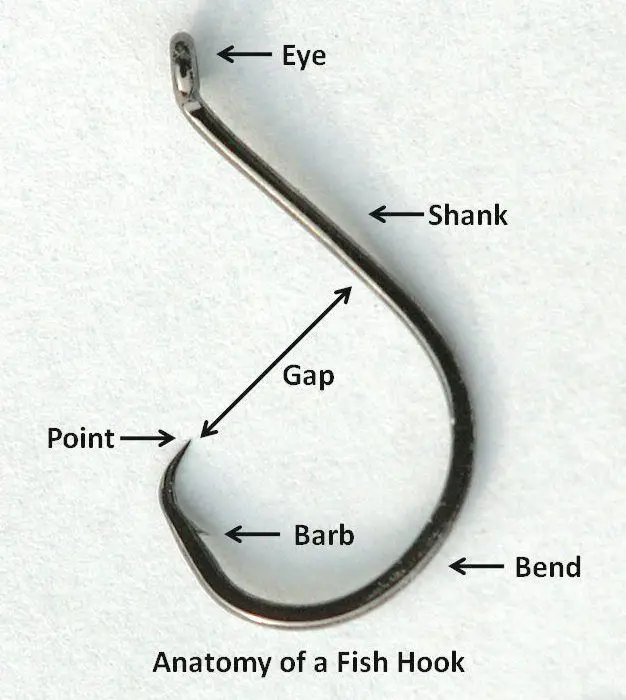 Anatomy of a fish hook