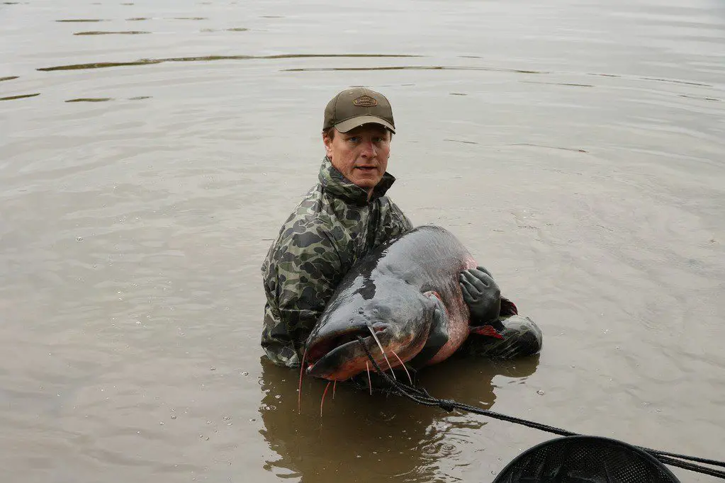 Holding a giant catfish after testing catfish reels