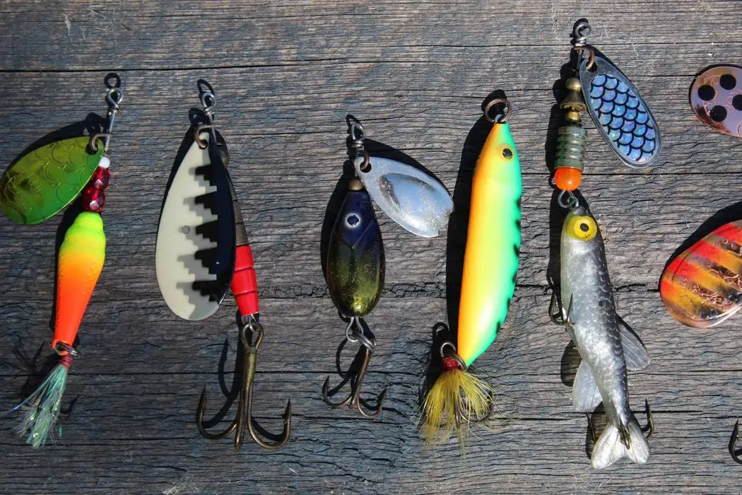 10 Types Of Fishing Lures Explained How And When To Use Them All