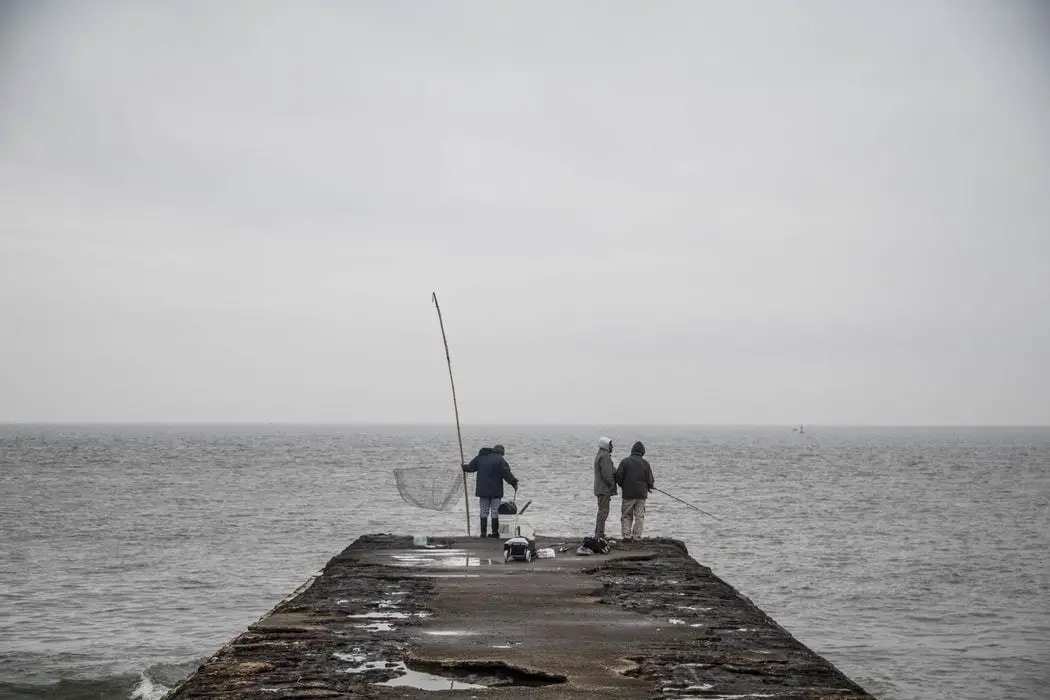 Pier Fishing Tips For Beginners Bait And Tackle All Fishing Gear