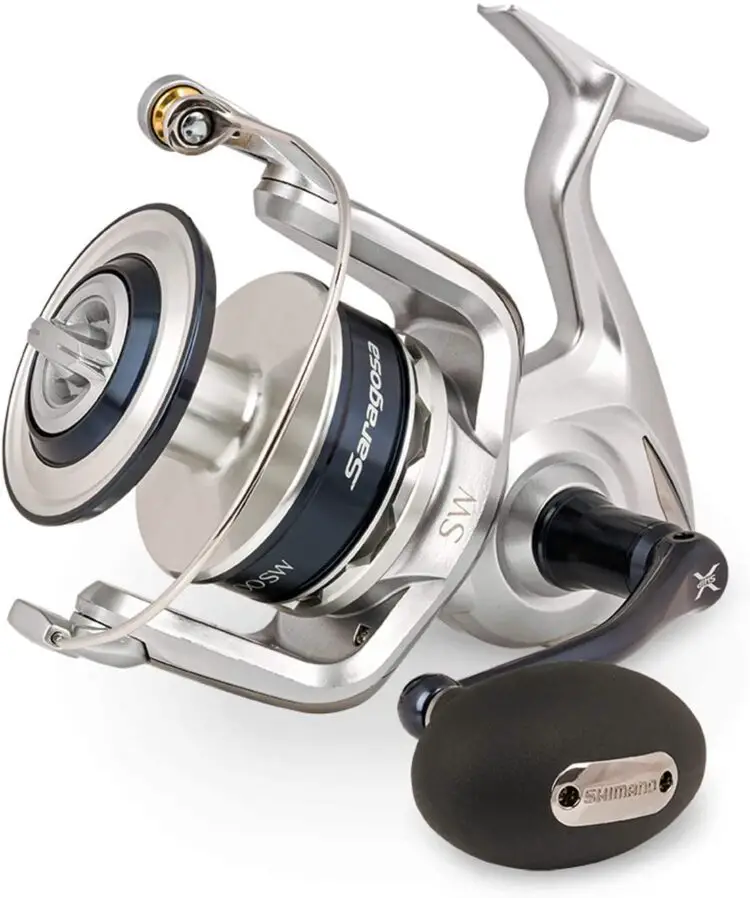 Shimano Saragosa Sw Vs Daiwa Bg Reel Comparison All Fishing Gear