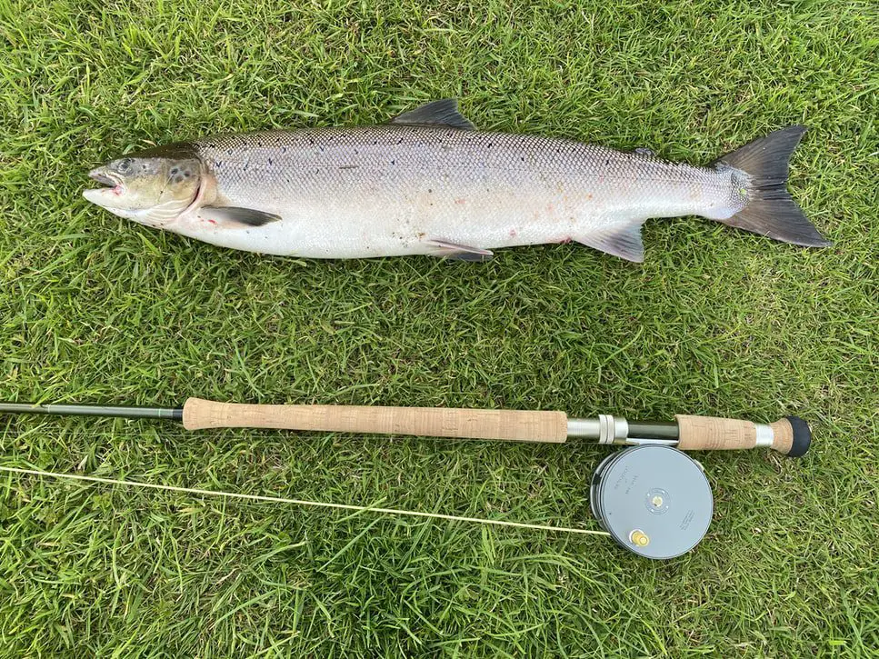 Fly fishing reels for salmon