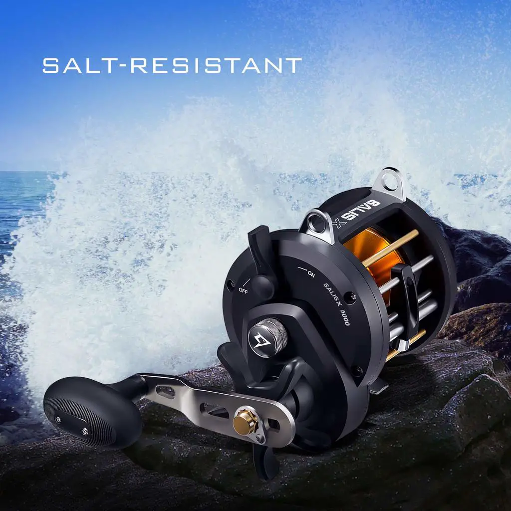 Piscifun Salis X Conventional Reel Review – All Fishing Gear