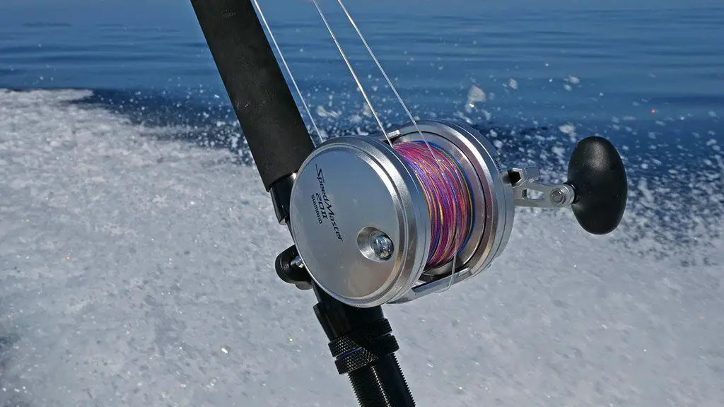 Shimano Speedmaster Lever Drag Fishing Reel in Action