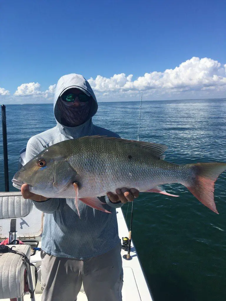 Florida Snapper Fishing Tips