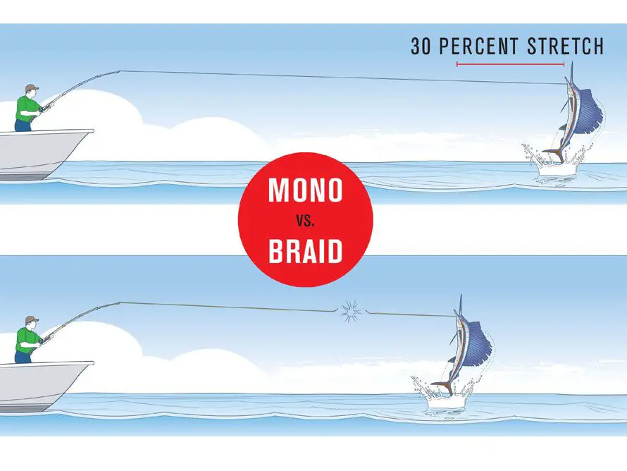 Braid vs mono stretch comparison