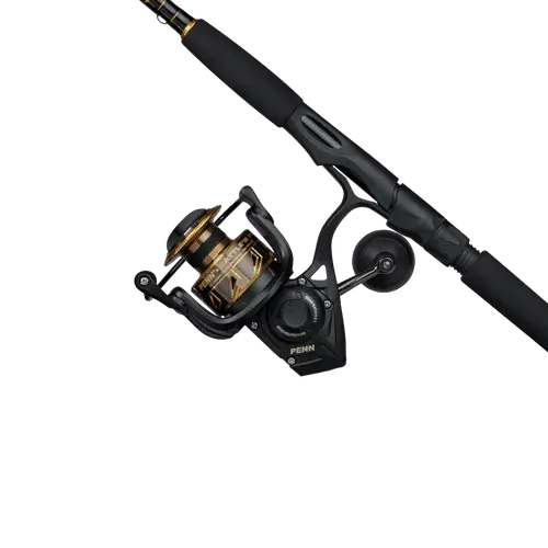 Best Rod and Reel Combo Review