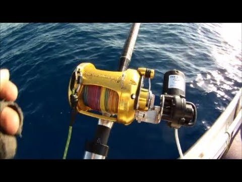 Electric Fishing Reel Review