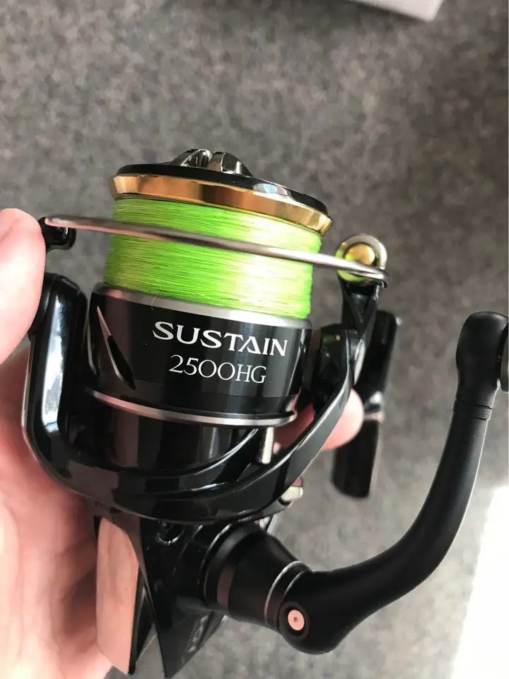 Shimano sustain in my hand