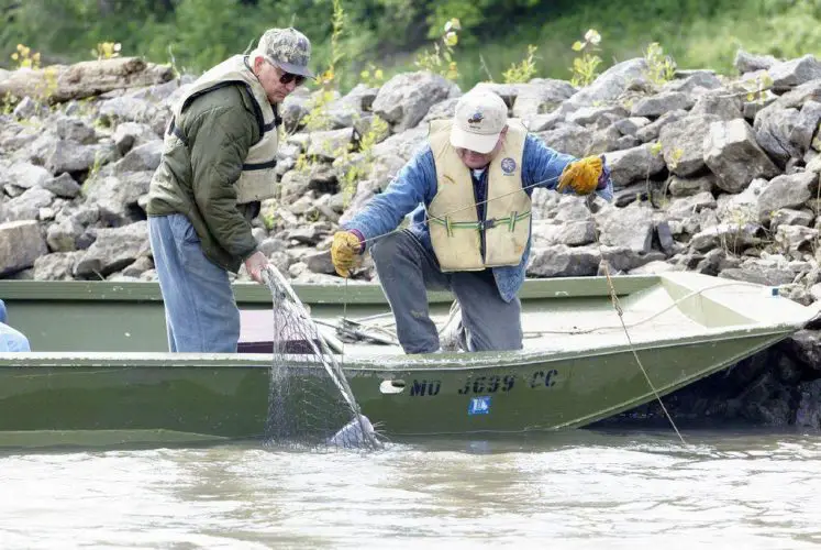 How To Rig A Trotline Trotline Fishing Tips For Catfish All Fishing Gear