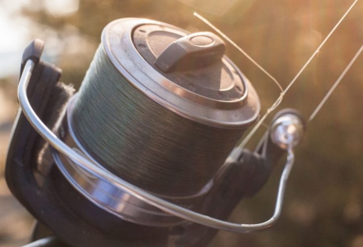 Fishing Line on a spool