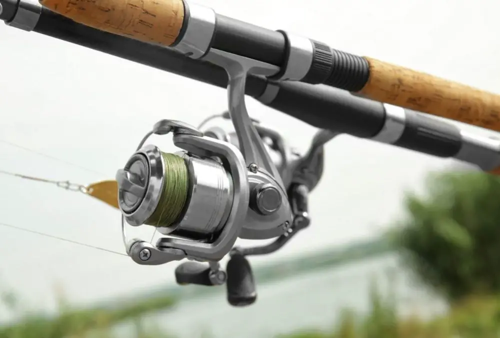 Which Trout Spinning Reel Is The Best Value For Money? All Fishing Gear