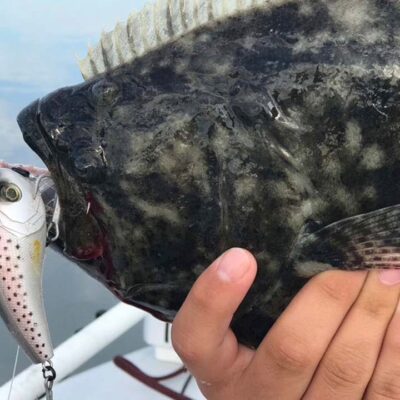Flounder caught with a lure in its mouth