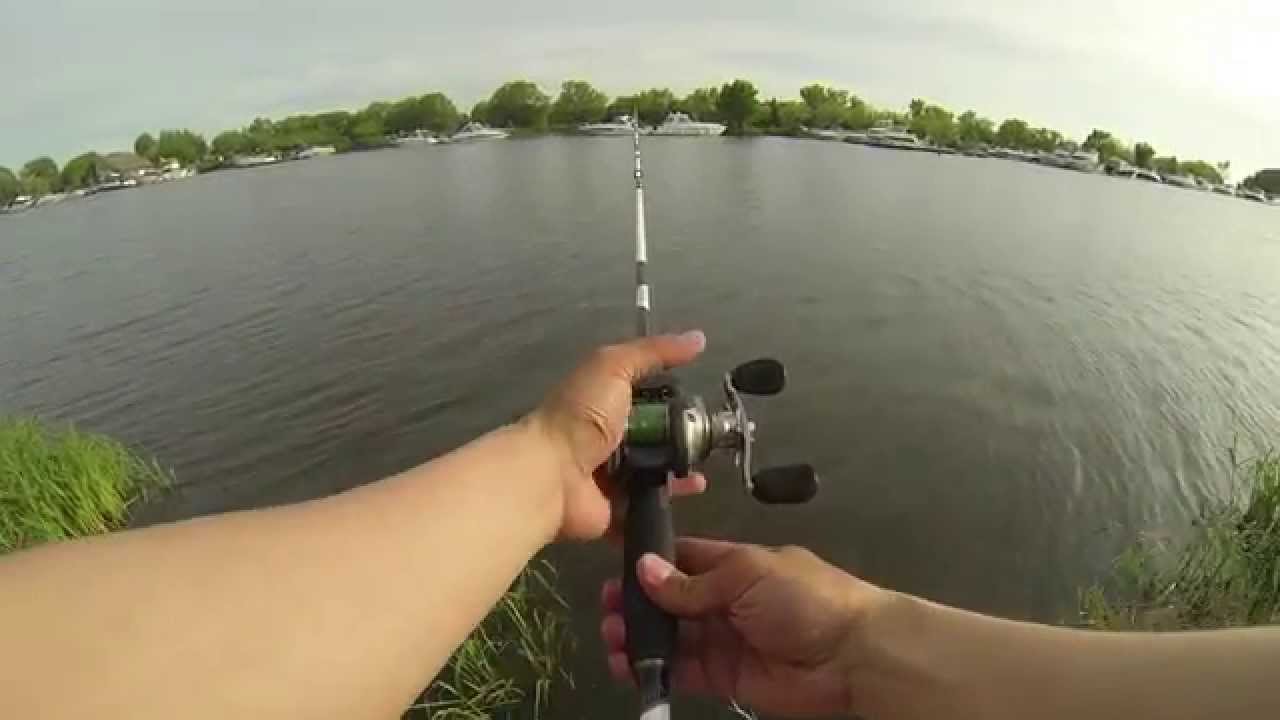 Why Do Pro Bass Anglers Prefer Baitcasters? All Fishing Gear