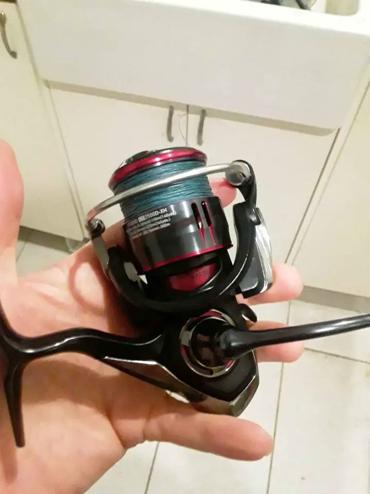 holding a small daiwa fuego spinning reel before testing