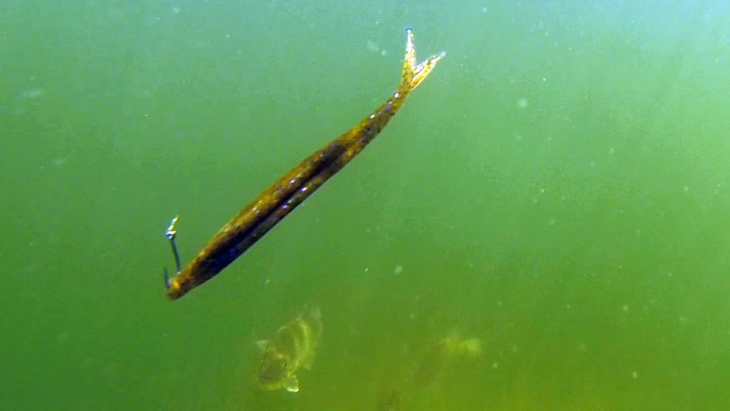 a fluke rig underwater