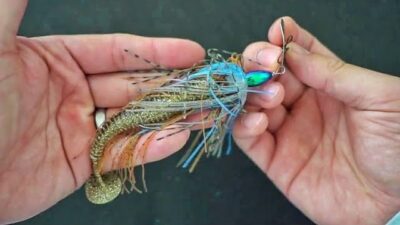 Everything You Need To Know About Chatterbait Lures – All Fishing Gear