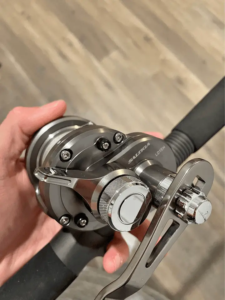 Daiwa Saltiga Spinning Reel Review 2 Daiwa saltiga conventional reel in my hand during testing
