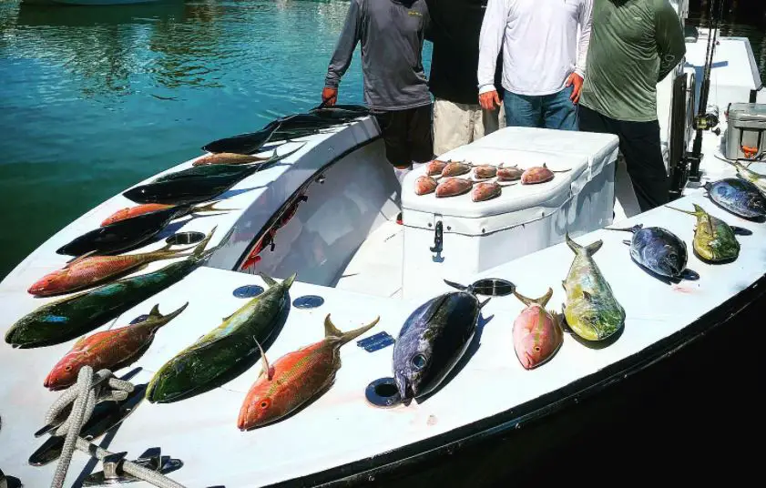 Florida Keys Fishing, Source: Captain Easy Charters