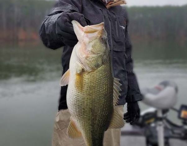 Lake Guntersville, Alabama Bass Fishing, Source: Langston Martin Fishing