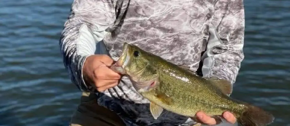 a bass caught at lake ray roberts, texas