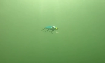 gif of a YoZuri 3DB Jerkbait in Action underwater