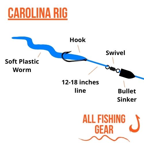 Carolina Rig Schematic Illustration