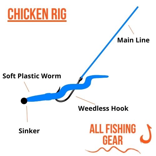 Chicken Rig Schematic Illustration