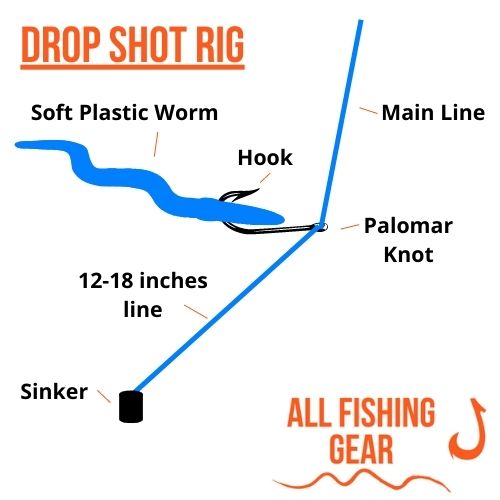 Drop Shot Rig Schematic Illustration