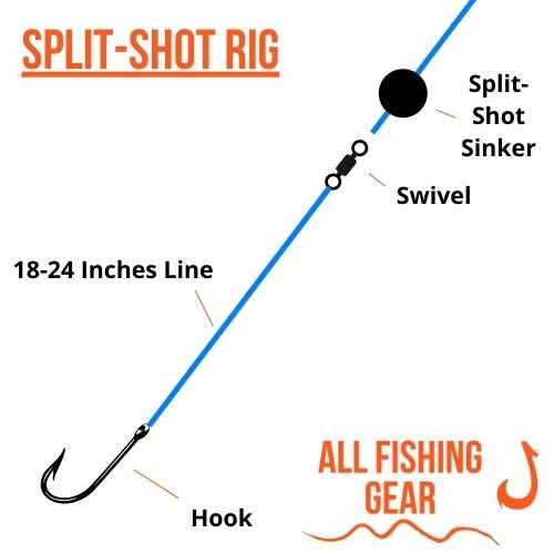 Split-Shot Rig Schematic Illustration