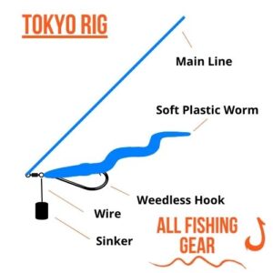 Making Tokyo Rig Tokyo Rig Setup: When And Where To Use For Bass – All Fishing Gear