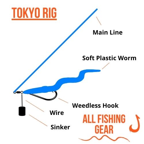 Tokyo Rig Schematic Illustration